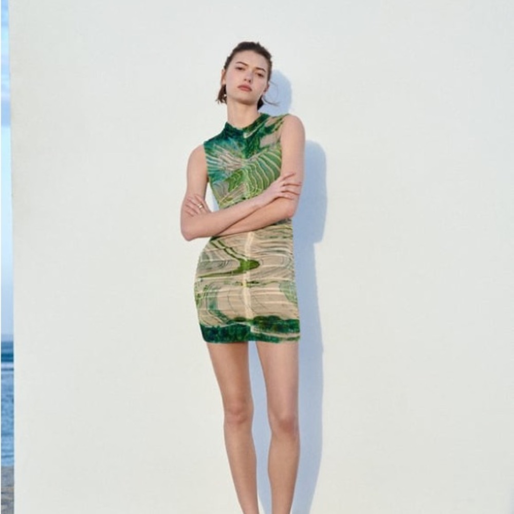 Zara printed tulle dress